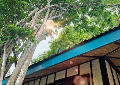 View of the lush nature and trees from the terrace of a bungalow at DK2 Resort, El Nido.