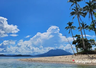 Secluded virgin beach of Malapina Island in Malampaya Sound. White sand, palm trees, and blue skies highlighting the natural beauty.